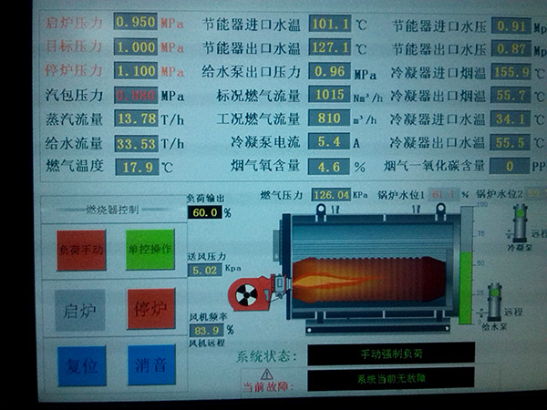 100.jpg